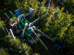 Compact - Electric Fruit Picking Platforms